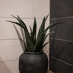 Skylark - Oslo Penthouse With Jacuzzi & Mountain * Brasov