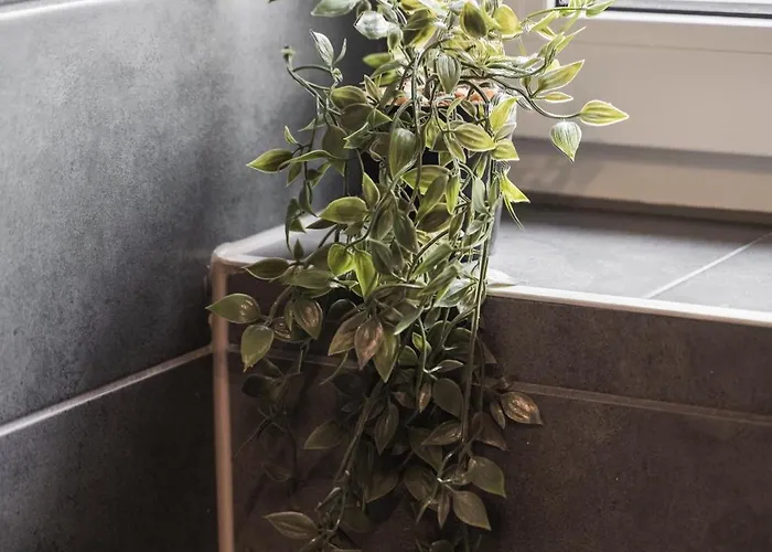 Skylark - Oslo Penthouse With Jacuzzi & Mountain Brasov